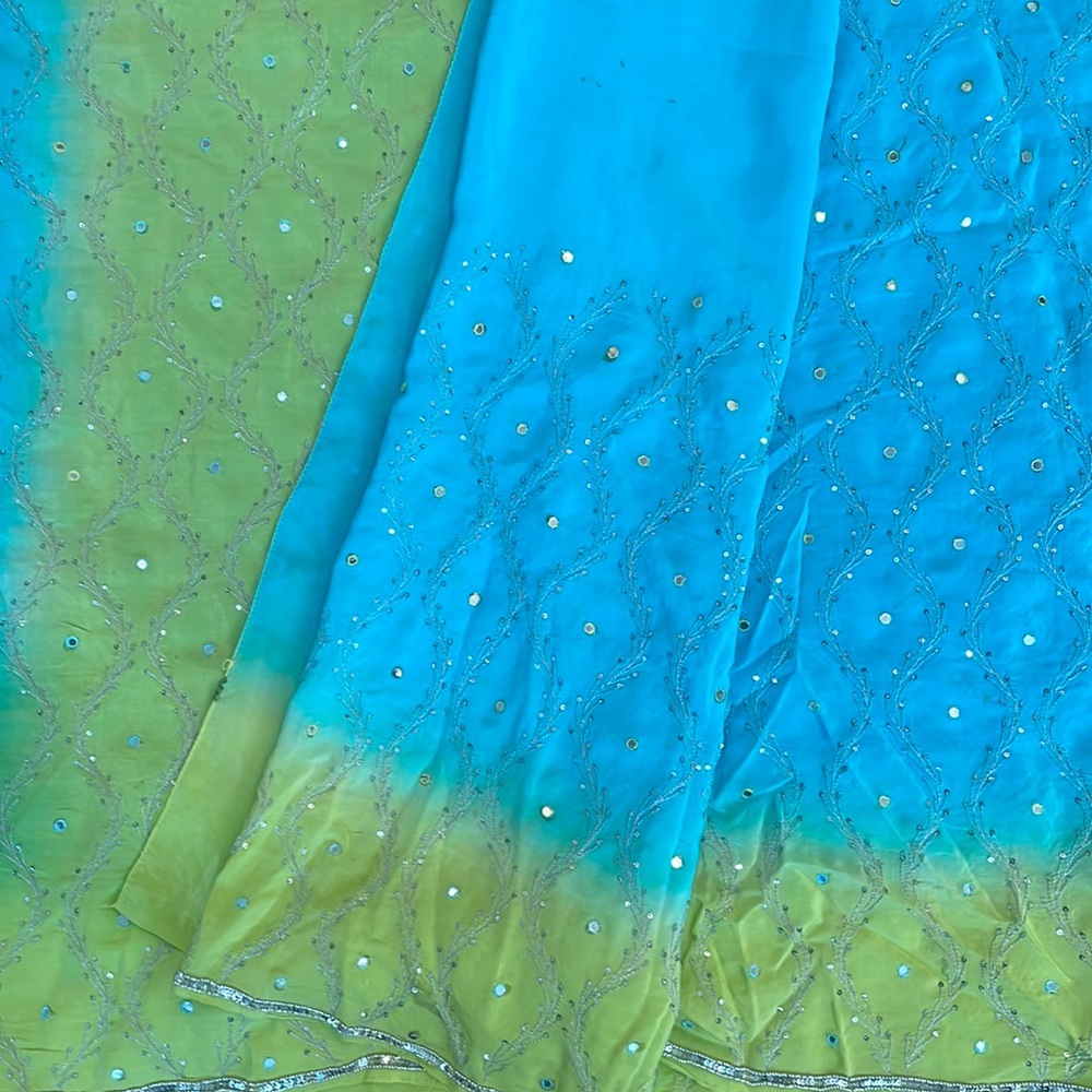 Beautiful blue and green sari with thread and sequence work all over. Saree.